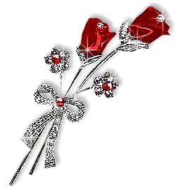Feliz d&iacute;a de San Jordi